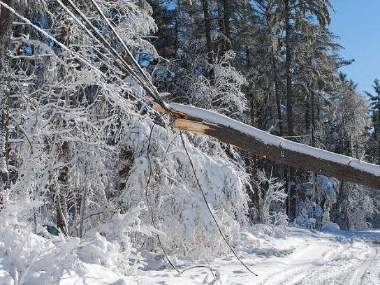 snow storm damage