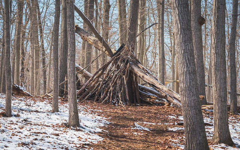 lean-to shelter